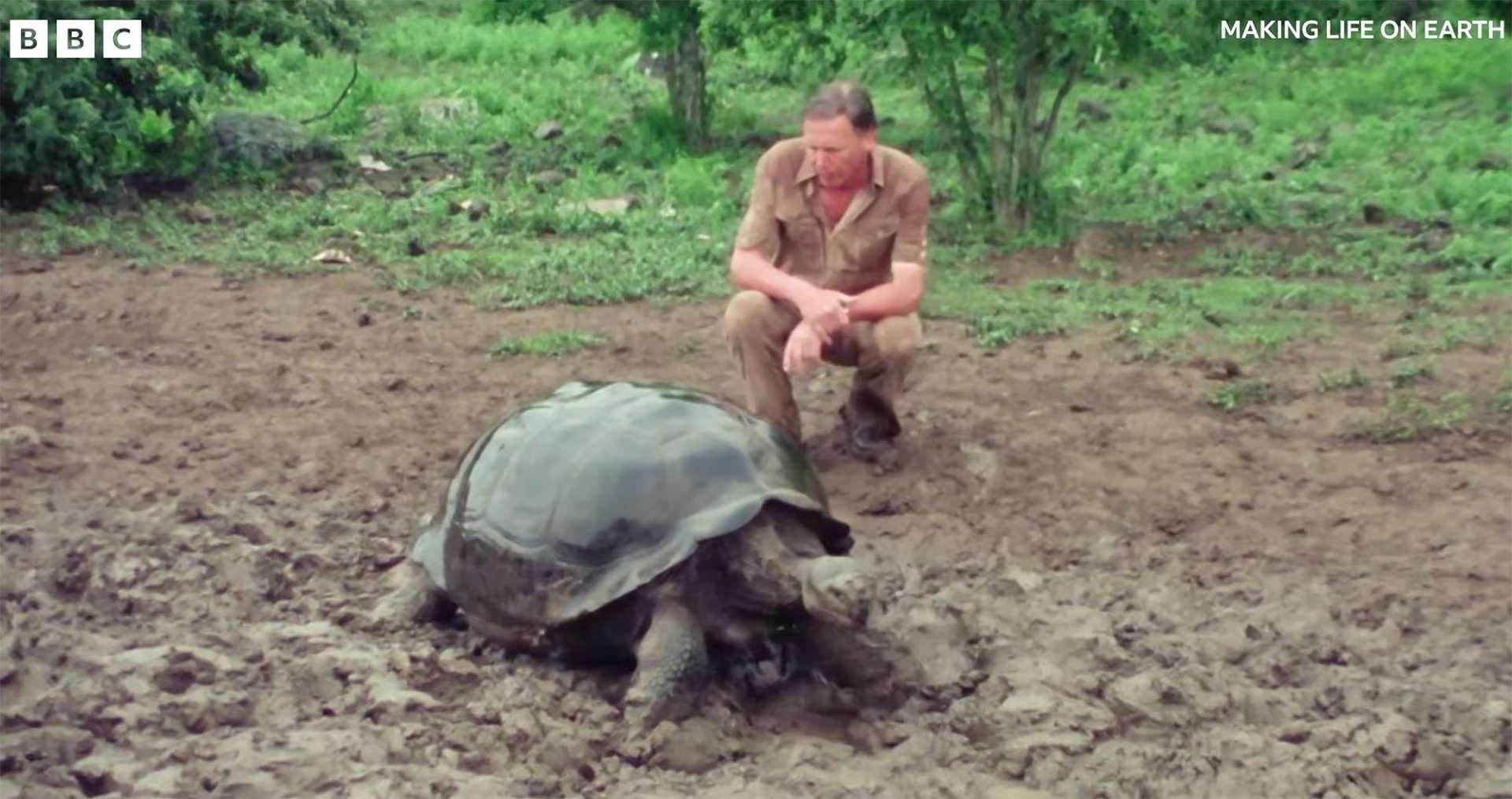 'Making Life on Earth: Attenborough&rsquo;s Greatest Adventure' Doc Trailer | FirstShowing.net