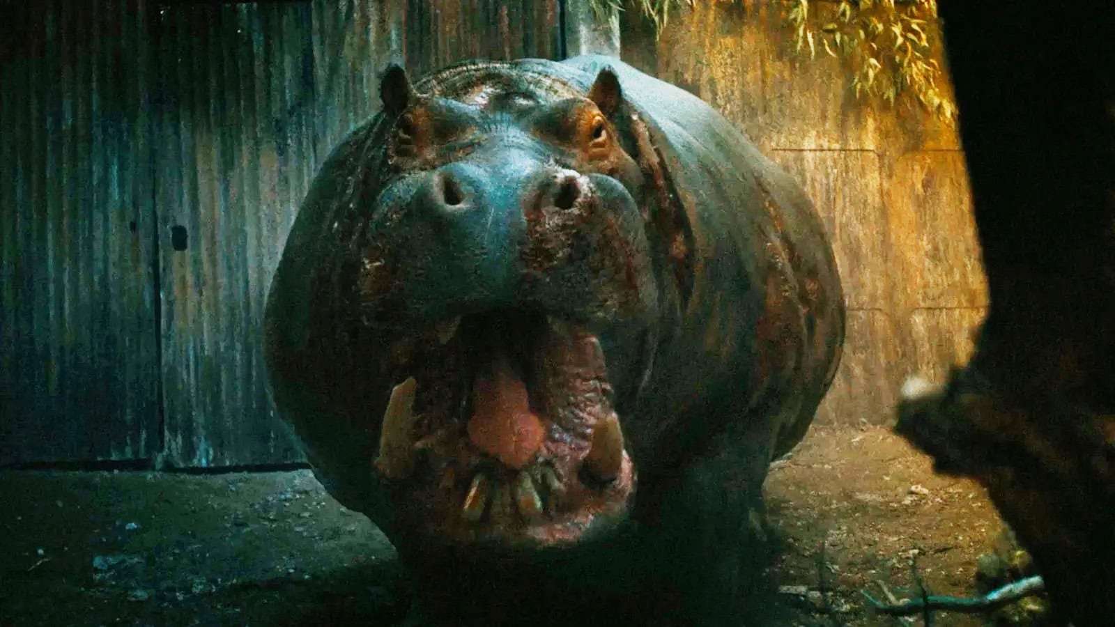 A hungry hungry hippo is unleashed in trailer for survival thriller Hungry