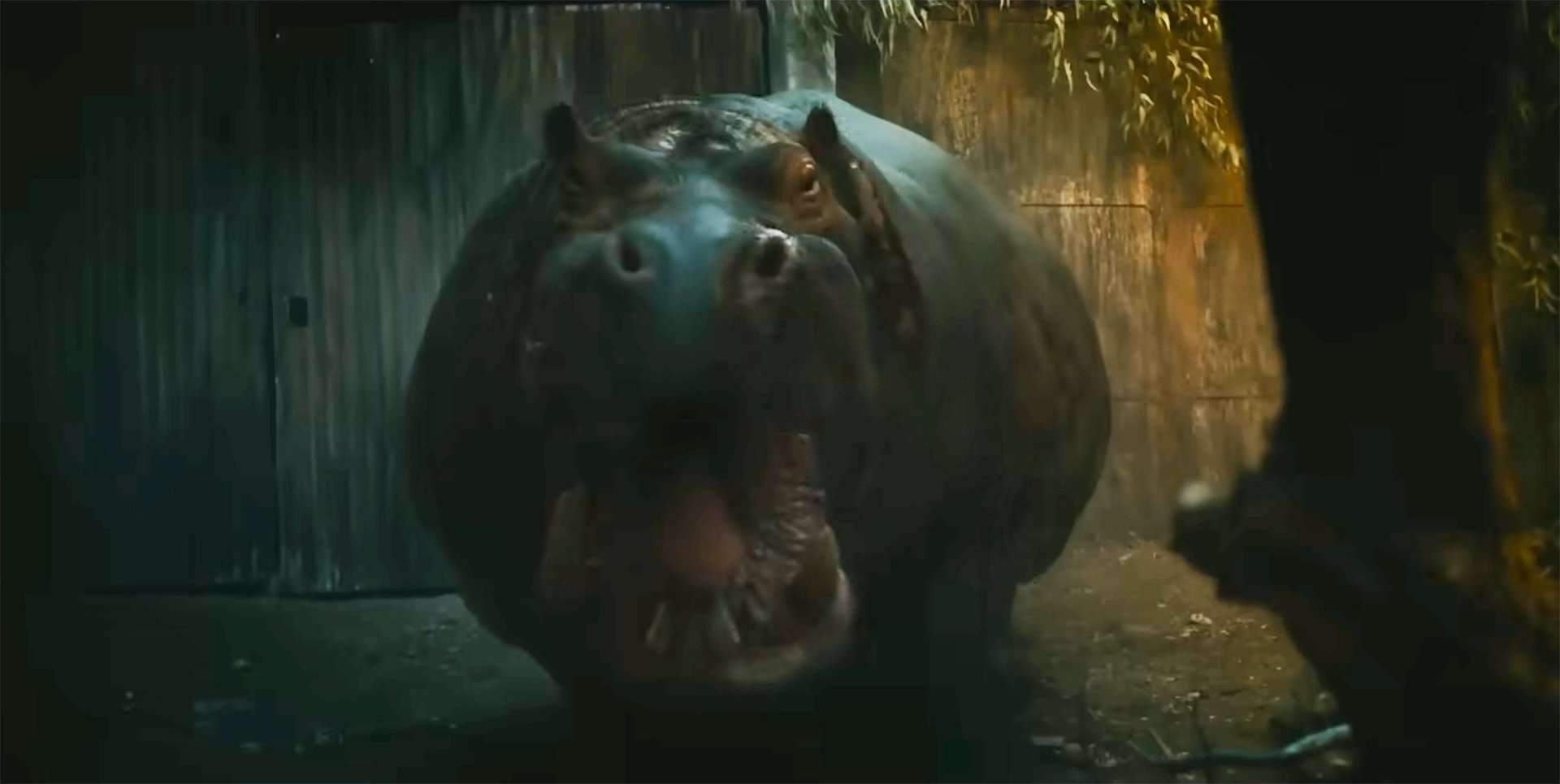 Bonkers Trailer for the Hungry Hippo Horror Movie Called 'Hungry' | FirstShowing.net
