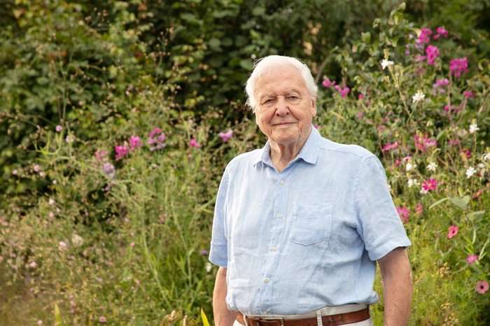 David Attenborough stood in a garden smiling ahead, wearing a light blue shirt and brown trousers.