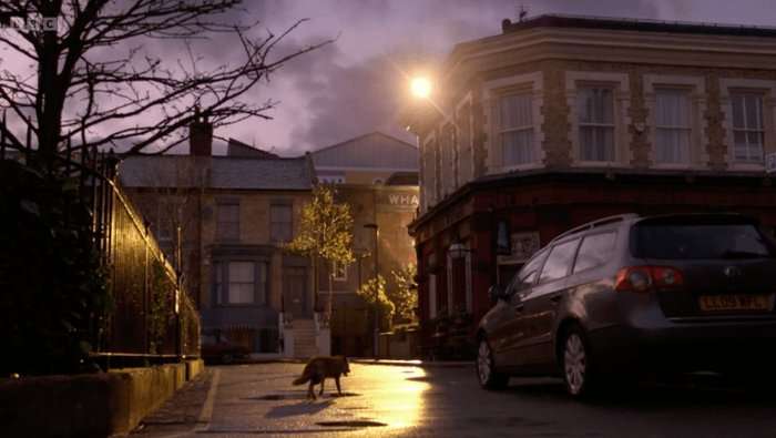 The sun rises over Albert Square as a fox walks across the shot.
