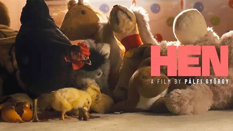 The Hen Official Trailer