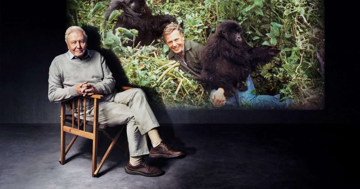 Inside the new must-watch David Attenborough documentary as the icon turns 100