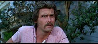 The 15 Best Mustaches from the 1970s Era | Den of Geek