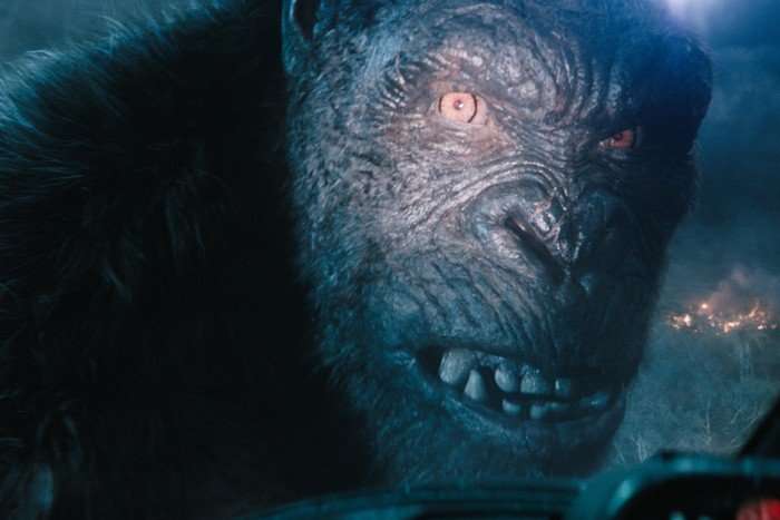 Kong in Monarch: Legacy of Monsters. He is a giant ape who looking around, with an angry look on his face, snarling.
