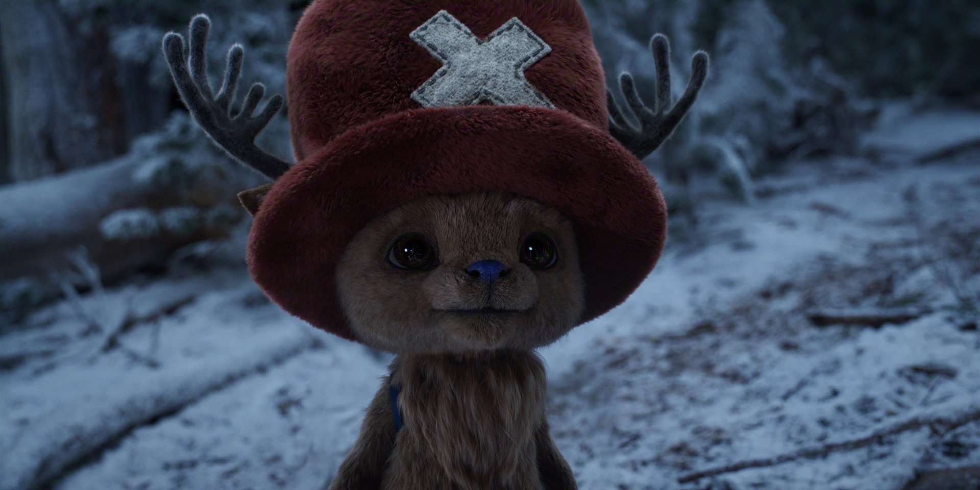 One Piece N S2 00 22 31 20R