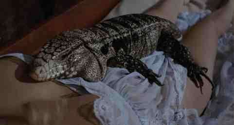 Werewolf-Woman-1976-Italian-horror-movie-film-Annik-Borel-lizard.jpg
