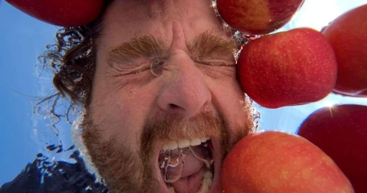 Zach Galifianakis&rsquo; New Netflix TV Show Streams Today