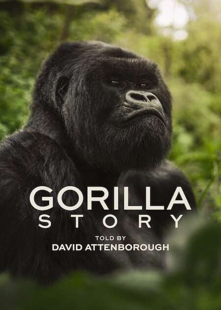 A Gorilla Story: Told By David Attenborough Poster