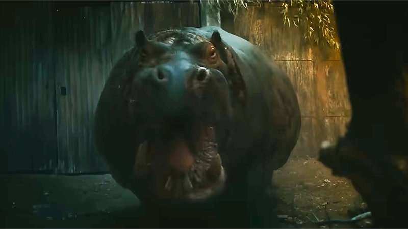 Hungry Hippos Movie Poster