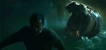 Hungry Hippos Movie Trailer