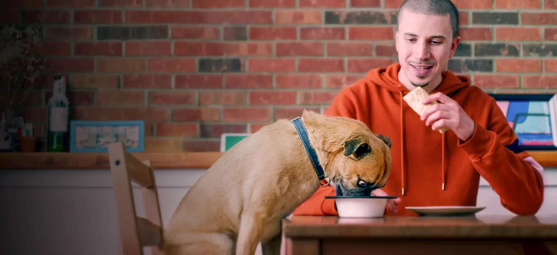 Its Bruno Leaving Netflix