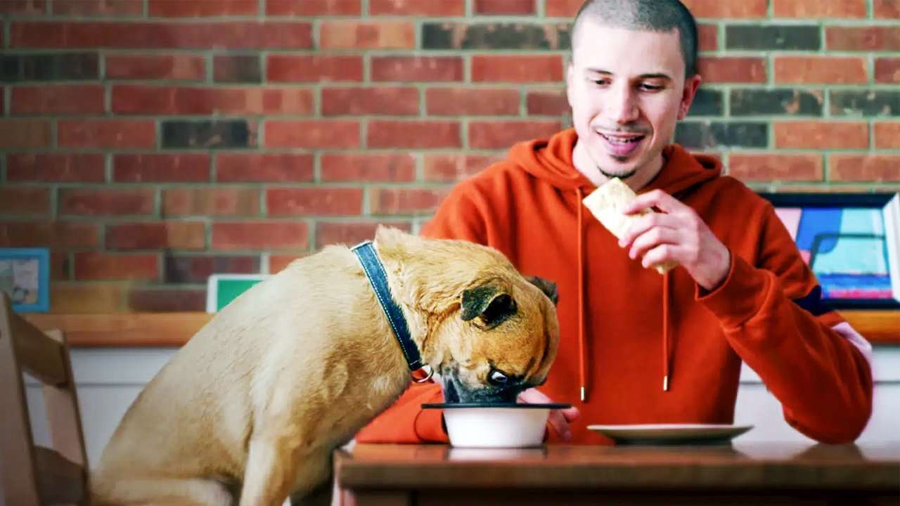 Its Bruno Netflix Originals Leaving Netflix