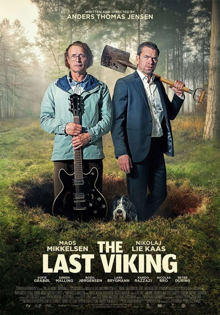 The Last Viking Poster