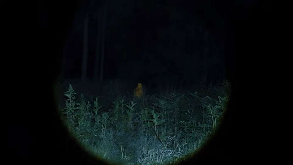 Found Friday: Loner (2026) - Morbidly Beautiful