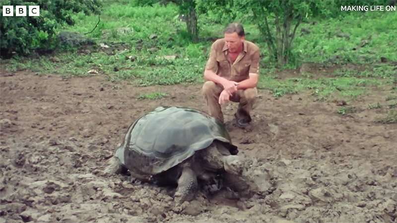 Making Life on Earth: Attenborough&rsquo;s Greatest Adventure Trailer