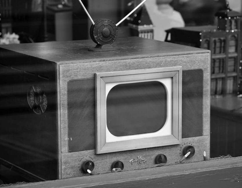 Unmissable Japanese Web Series: A Top 10 Recommendation