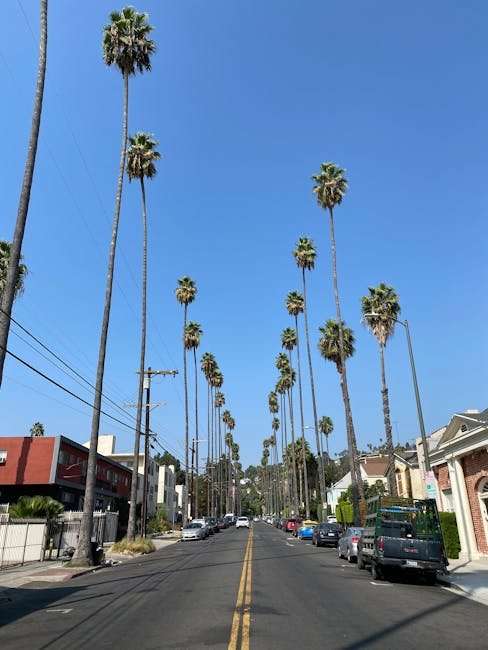 Where to Watch Web Series Online Legally: Your Ultimate Guide