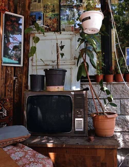 Korean Web Series Download: Mobile-Friendly Options