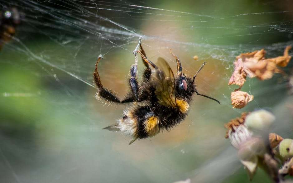 Hidden Gems: Underrated Hindi Web Series on Netflix