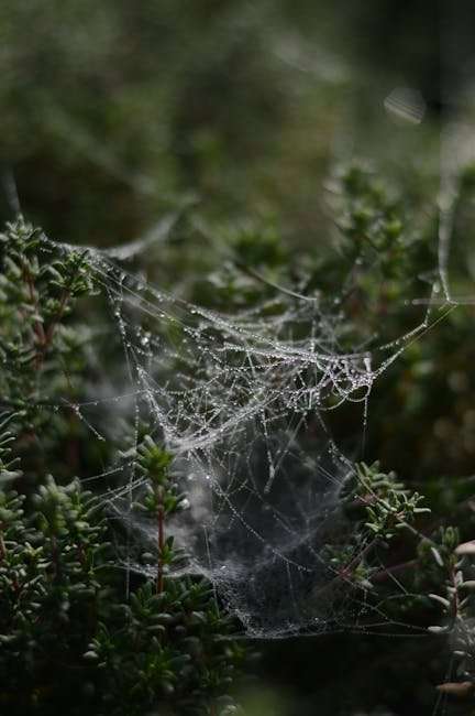 Hindi Web Series to Watch with Family: Entertainment for Everyone