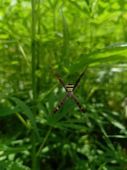 OTT Series Reviews: What's Worth Watching (and What's Not)