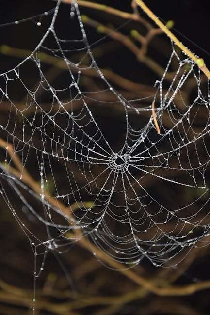 The Most Underrated Web Series You Should Be Watching