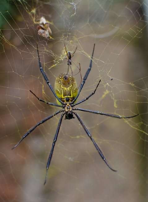 Hindi Web Series List IMDb: Highest-Rated Shows to Watch Now