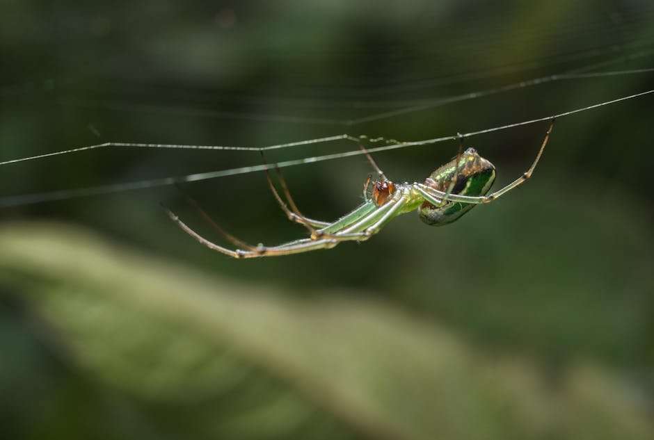 Suspenseful & Thrilling Korean Web Series to Keep You Hooked