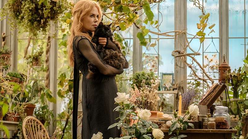 Practical Magic 2 Teaser