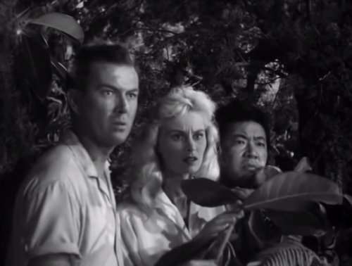 Screen Shot 2014-07-06 at 01.00.40