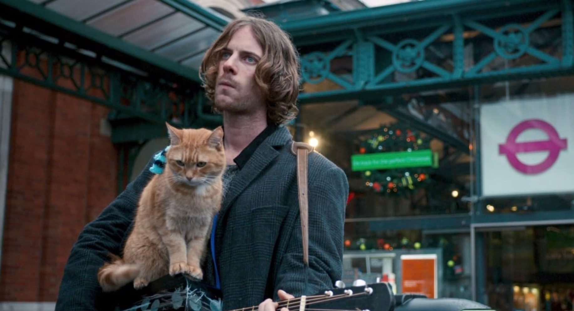 underrated-free-to-watch-movie-a-street-cat-named-bob