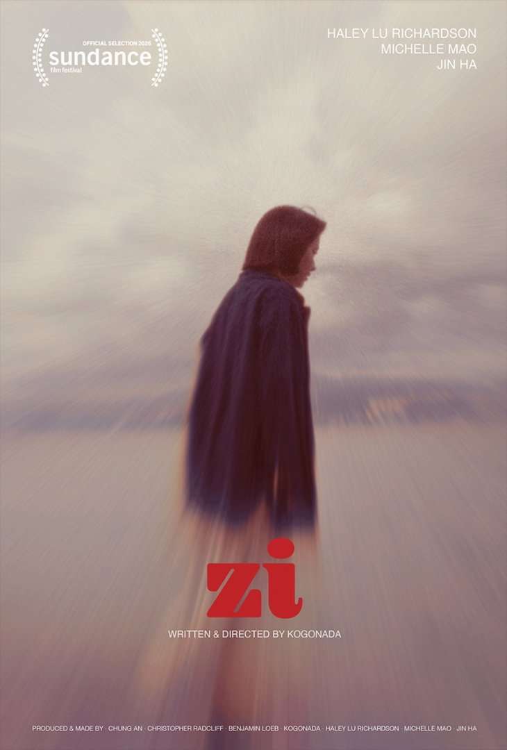Zi Film Poster