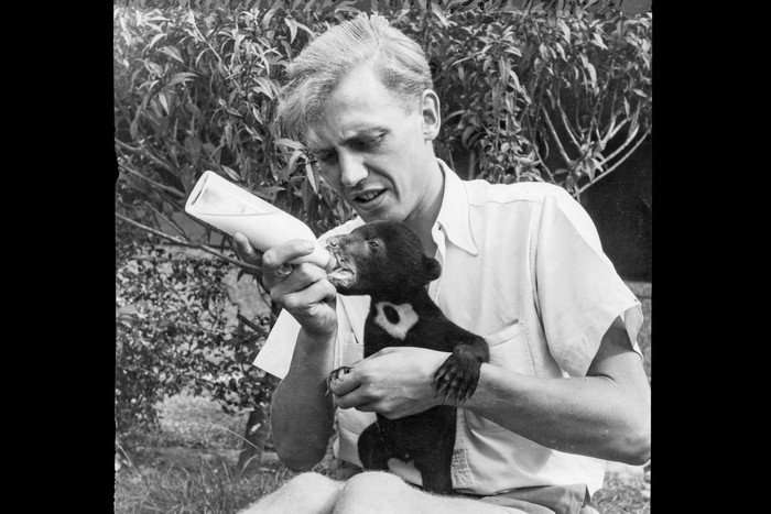 Vintage photo of Zoo Quest - 1956 Sir David Attenborough - with Benjamin - &lsquo;the Zoo Quest bear&rsquo; (a Malaysian sun bear)
