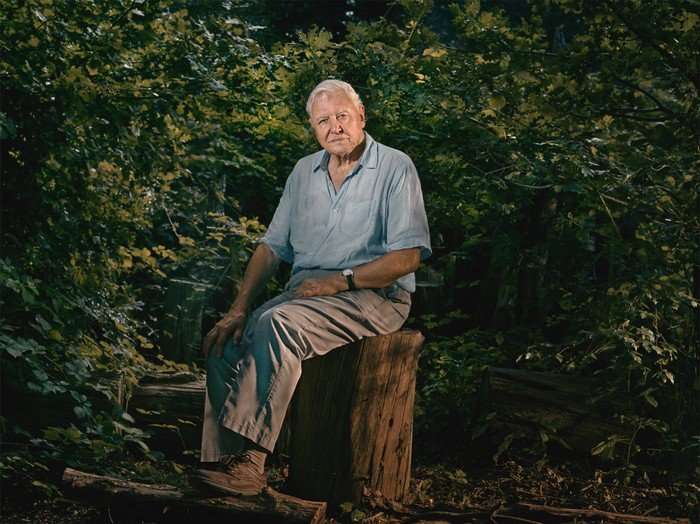 Sir David Attenborough sat on a tree stump, looking ahead. He is wearing tanned trousers and a blue shirt.