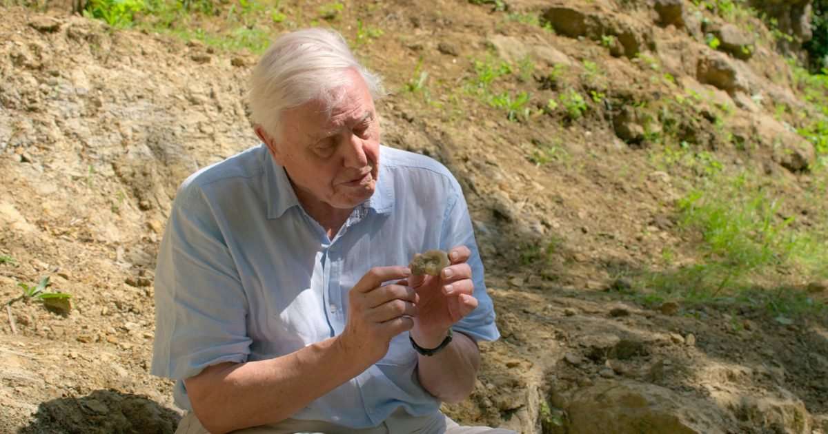David Attenborough at 100: The voice of nature &ndash; and his increasingly urgent climate warning