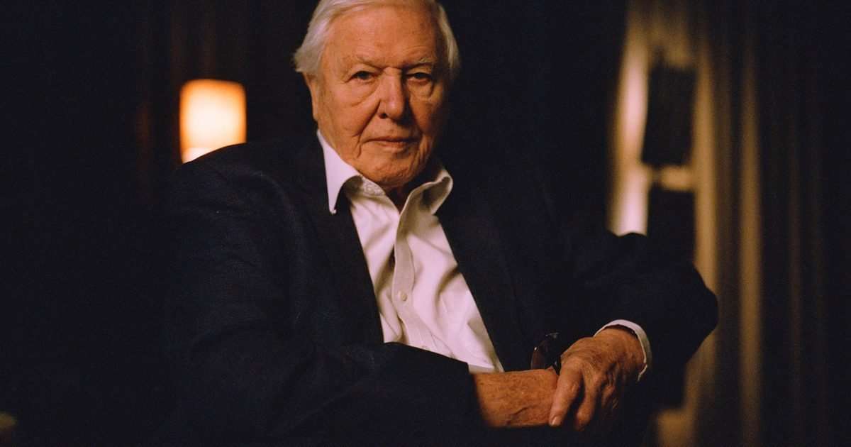 David Attenborough issues "overwhelmed" response to huge number of birthday messages as he turns 100