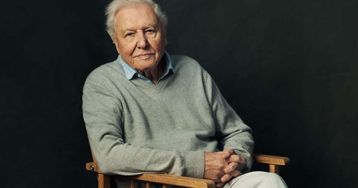 David Attenborough &ndash; 7 covers from a seven-decade career