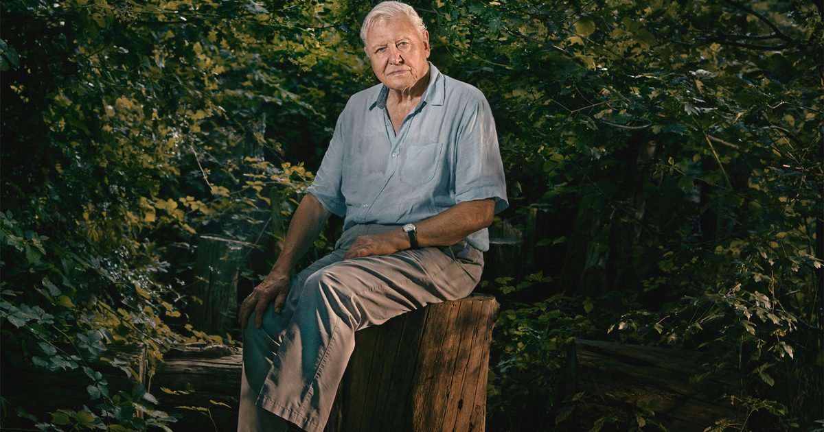 David Attenborough's 10 best series from Planet Earth to Dynasties