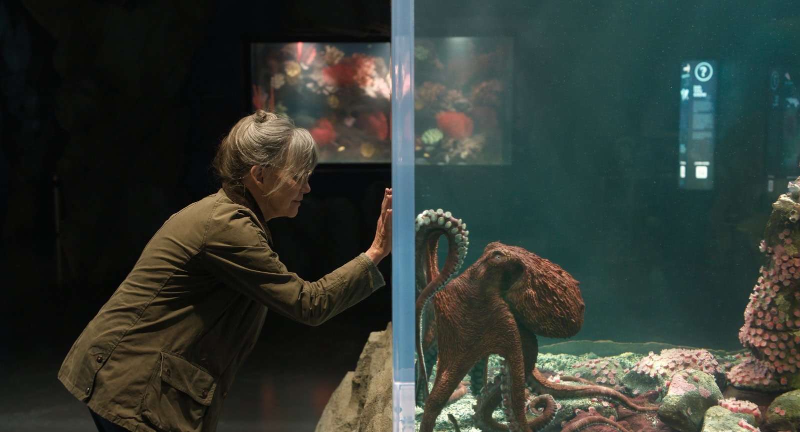 Movie Review – Remarkably Bright Creatures (2026)