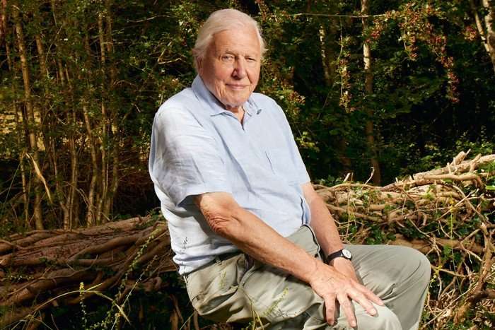 Sir David Attenborough for Planet Earth III sitting down in a wooded area