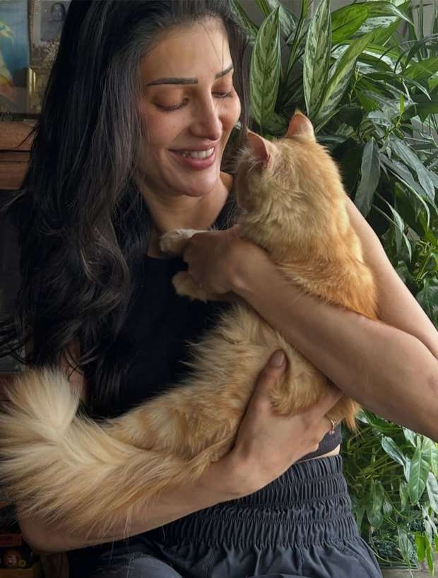 Shruti Haasan adopts rescued ginger cat Aslan; actor gives six-month-old kitten a forever home