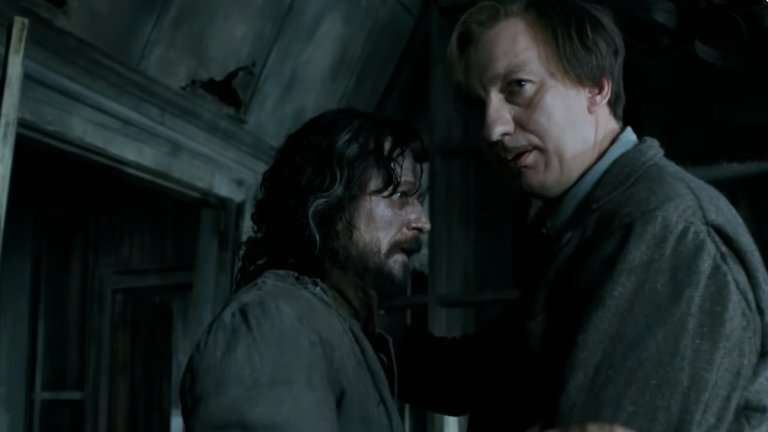Sirius Black and Remus Lupin - Harry Potter