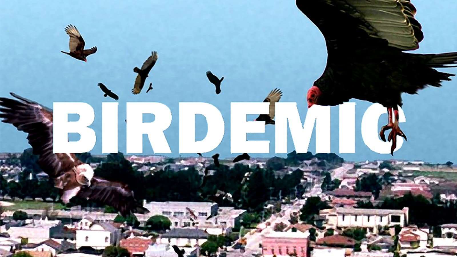 The Saga of Birdemic and the Complicated Man Behind It