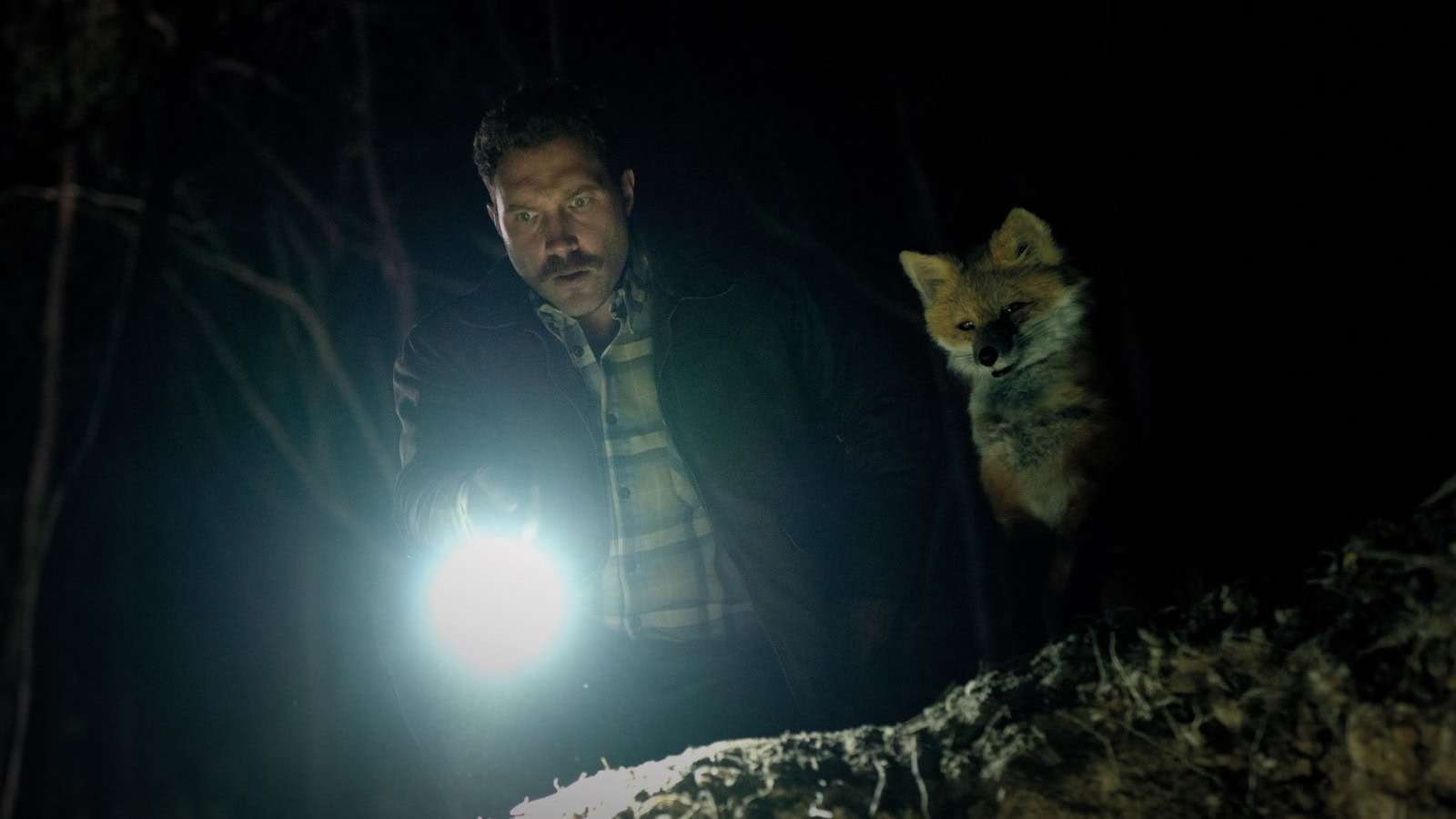 Trailer for Australian fantasy comedy The Fox starring Jai Courtney, Emily Browning and Olivia Colman