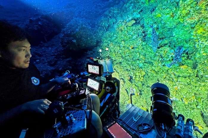 Deep Ocean: Kingdom of the Coelacanth