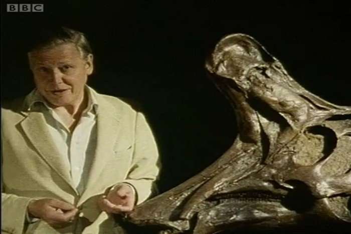 David Attenborough speaks animatedly with his hands looking ahead stood next to a large fossil.
