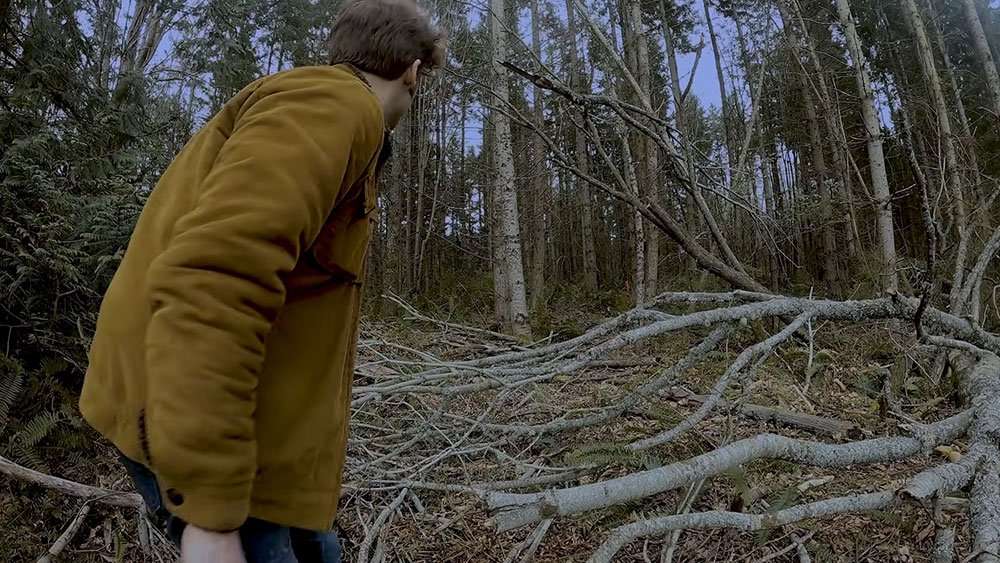 Found Friday: House at the Edge of the Woods (2026) - Morbidly Beautiful