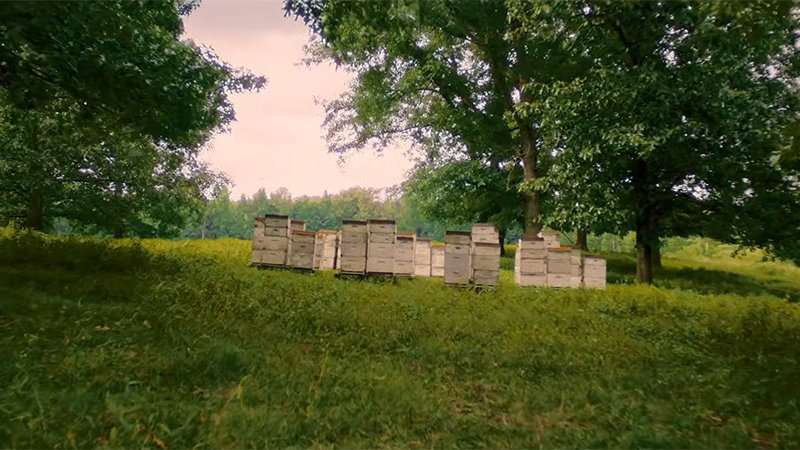 The Rivals of Amziah King Trailer