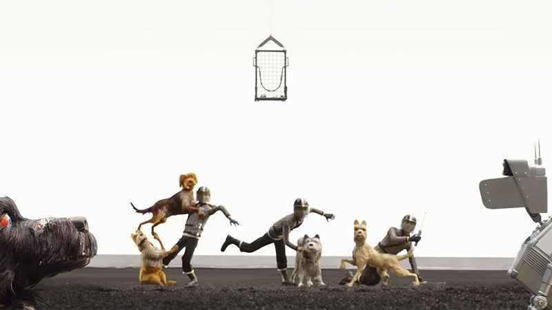 The Visual Comedy of Isle of Dogs Video Essay
